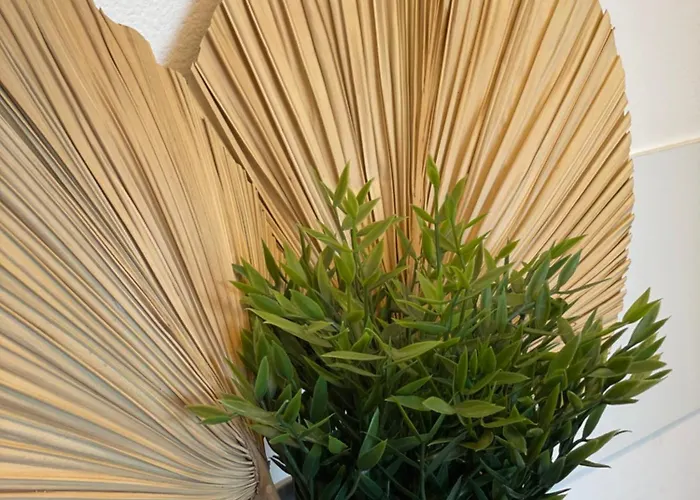 Residenze Ariston - Centralissimi - Narramondo Giulianova