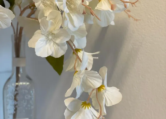 Residenze Ariston - Centralissimi - Narramondo شقة *